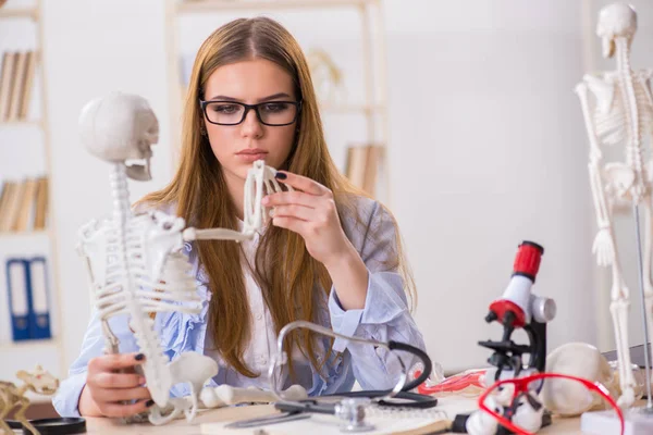 Student sitzt im Klassenzimmer und studiert Skelett — Stockfoto