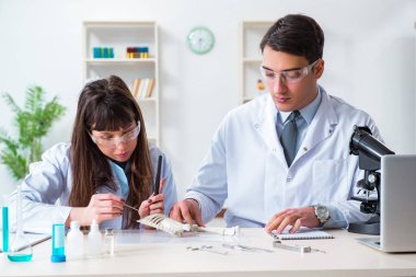 Paleontologlar nesli tükenmiş hayvanların kemiklerini inceliyor.