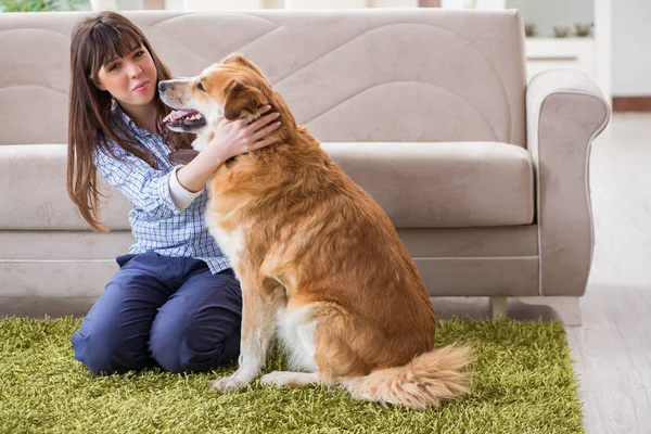 Szczęśliwa kobieta właściciel psa w domu z golden retriever — Zdjęcie stockowe