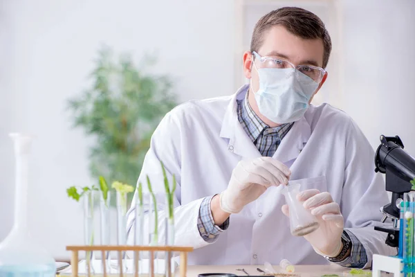 Mužský biochemik pracující v laboratoři na rostlinách — Stock fotografie