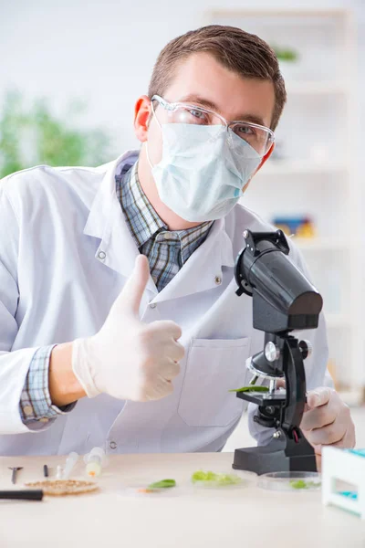 Männlicher Biochemiker arbeitet im Labor an Pflanzen — Stockfoto