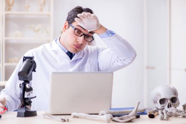 Profesör laboratuvarda insan iskeletini inceliyor.