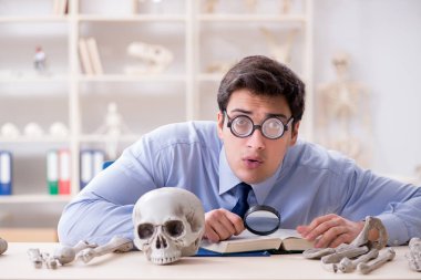 Komik çılgın profesör insan iskeletini inceliyor.