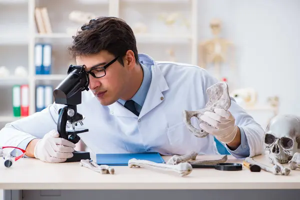 Profesor estudiando esqueleto humano en laboratorio —  Fotos de Stock