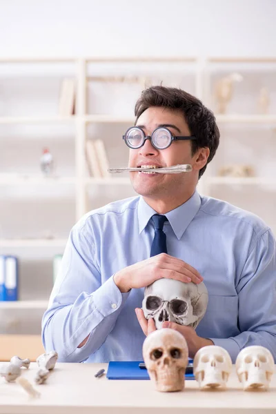 Komik çılgın profesör insan iskeletini inceliyor. — Stok fotoğraf