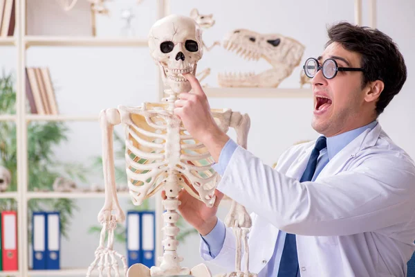 Çılgın profesör insan iskeleti üzerinde çalışıyor.