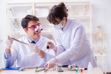 Profesör laboratuvarda insan iskeletini inceliyor.