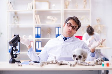 Profesör laboratuvarda insan iskeletini inceliyor.