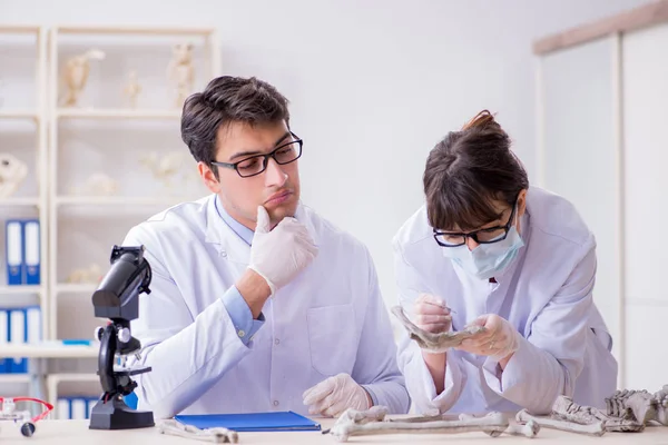 Professeur étudiant le squelette humain en laboratoire — Photo