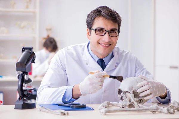 Profesor studující lidskou kostru v laboratoři — Stock fotografie