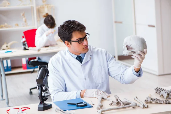 Professor studerar mänskligt skelett i labb — Stockfoto