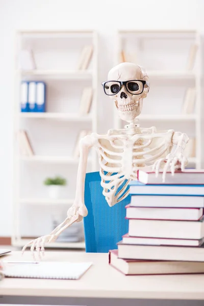 Esqueleto Estudante Preparando Para Exames — Fotografia de Stock