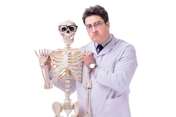 Young doctor with skeleton isolated on white Royalty Free Stock Images