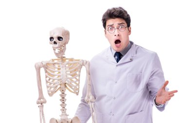 Beyaz izole iskelet ile genç doktor