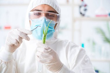 Bitkiler üzerinde çalışan erkek biyokimyacı.