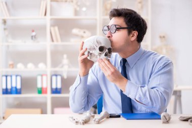 Komik çılgın profesör insan iskeletini inceliyor.