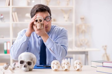 Komik çılgın profesör insan iskeletini inceliyor.