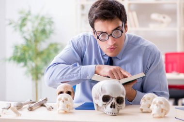 Komik çılgın profesör insan iskeletini inceliyor.