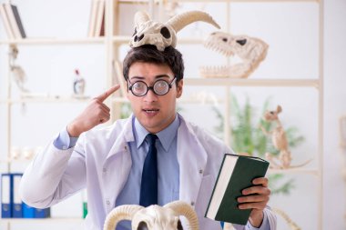 Komik çılgın profesör hayvan iskeletlerini inceliyor.