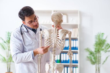 İskeleti beyaz olan Yong erkek doktoru.