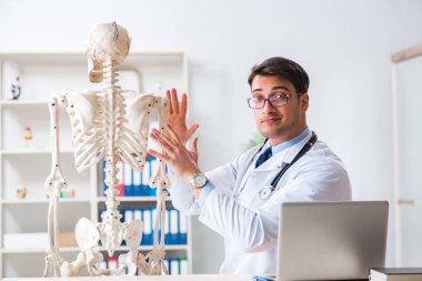 İskeleti beyaz olan Yong erkek doktoru.