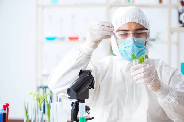 Bioquímico masculino trabajando en el laboratorio de plantas —  Fotos de Stock