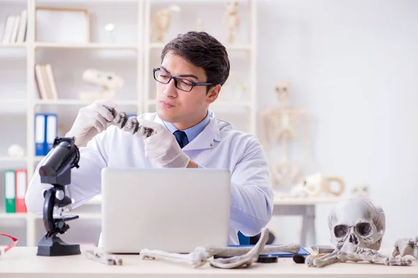 Profesor estudiando esqueleto humano en laboratorio —  Fotos de Stock