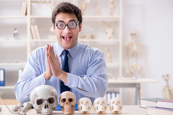 Funny crazy professor studying human skeleton — Stock Photo, Image