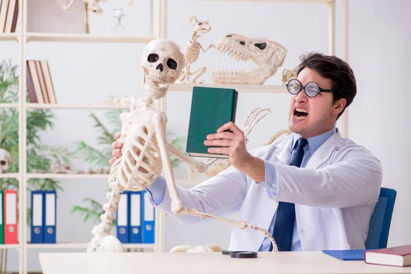 Profesor loco estudiando esqueleto humano —  Fotos de Stock