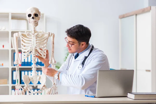 Yong männlicher Arzt mit Skelett isoliert auf weiß — Stockfoto