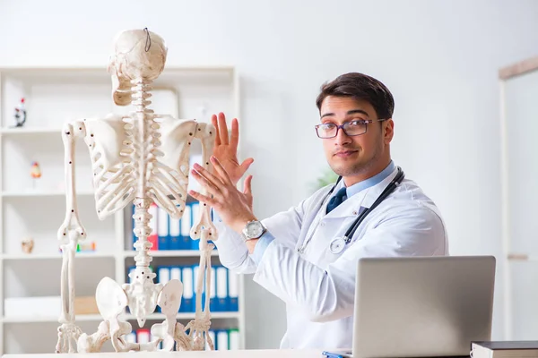 İskeleti beyaz olan Yong erkek doktoru. — Stok fotoğraf