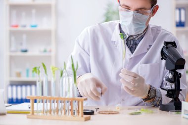Bitkiler üzerinde çalışan erkek biyokimyacı.