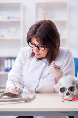 İskelet üzerinde çalışan bir doktor.