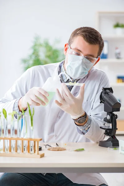 Чоловічий біохімік, що працює в лабораторії на рослинах — стокове фото