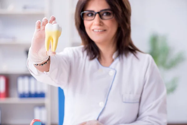 Mujer dentista trabajando en implantes dentales —  Fotos de Stock