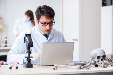 Profesör laboratuvarda insan iskeletini inceliyor.