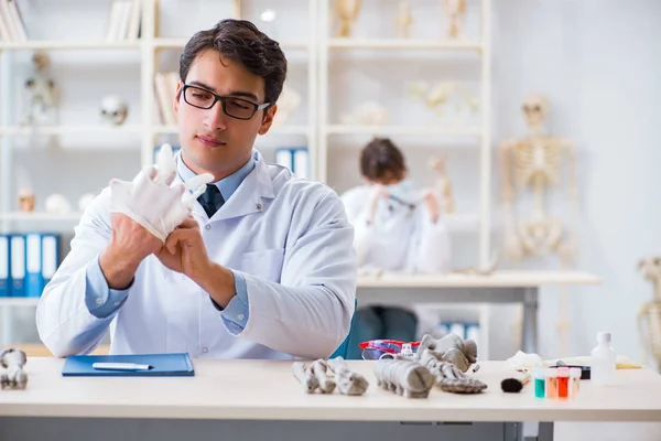 Profesor studující lidskou kostru v laboratoři — Stock fotografie