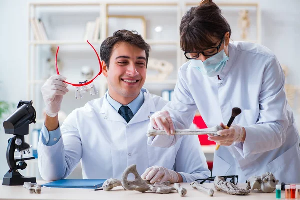 Professor estudando esqueleto humano em laboratório — Fotografia de Stock