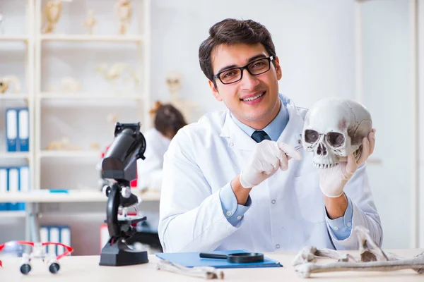 Profesor badający ludzki szkielet w laboratorium — Zdjęcie stockowe