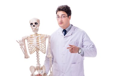 Beyaz izole iskelet ile genç doktor