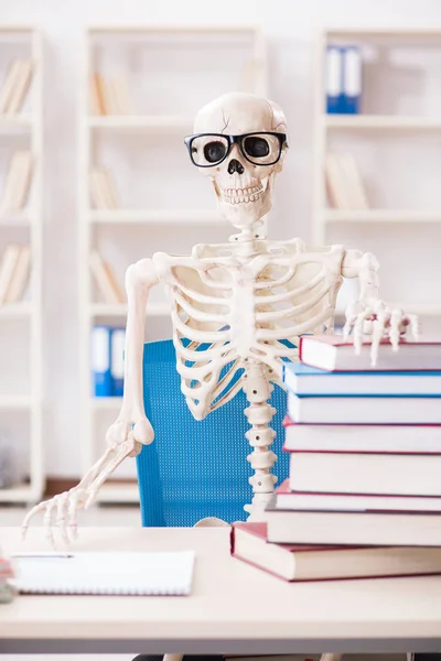 試験の準備をする学生の骨格 — ストック写真
