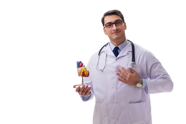 心臓の形が白く隔離された若い医師 — ストック写真
