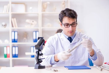 Profesör laboratuvarda insan iskeletini inceliyor.