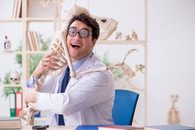 Çılgın profesör insan iskeleti üzerinde çalışıyor.