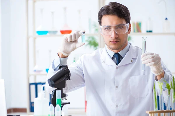 Mannelijke biochemicus werkzaam in het lab op planten — Stockfoto