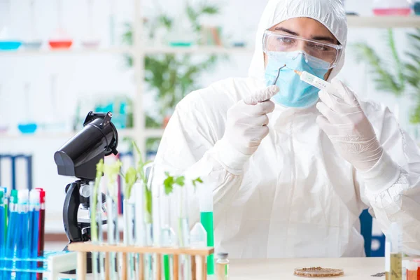 Bioquímico masculino trabajando en el laboratorio de plantas —  Fotos de Stock