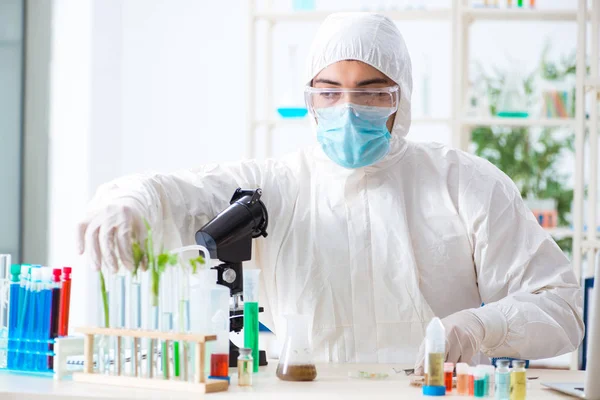 Bioquímico masculino trabalhando no laboratório em plantas — Fotografia de Stock