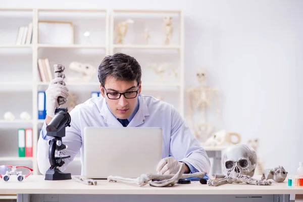 Professeur étudiant le squelette humain en laboratoire — Photo
