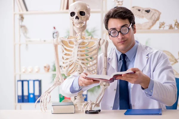 Szalony profesor badający ludzki szkielet — Zdjęcie stockowe