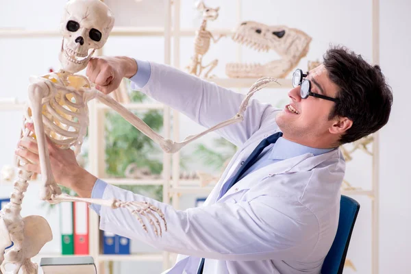 Profesor loco estudiando esqueleto humano — Foto de Stock